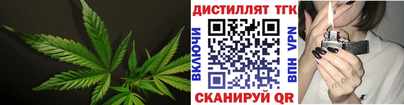 Дистиллят ТГК концентрат  Новая Ладога 